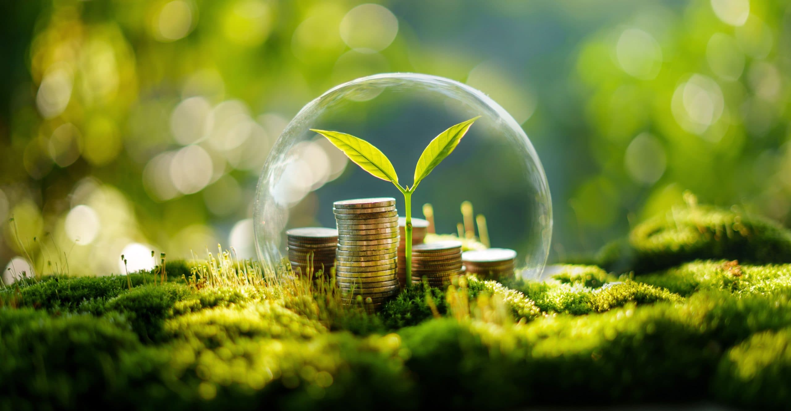 Certificados de Energia Renovável (RECs): tudo o que você precisa saber!